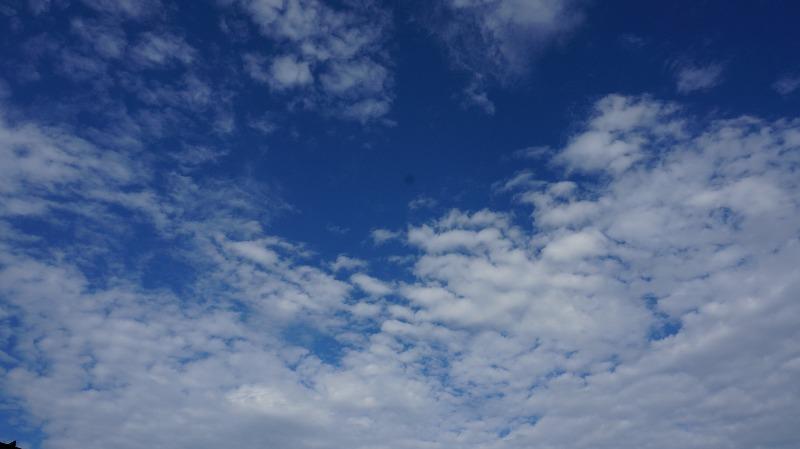 秋の空　イワシ雲